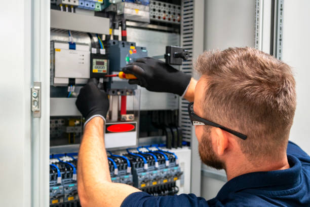 Best Electrical Panel Upgrades  in Shenandoah, TX